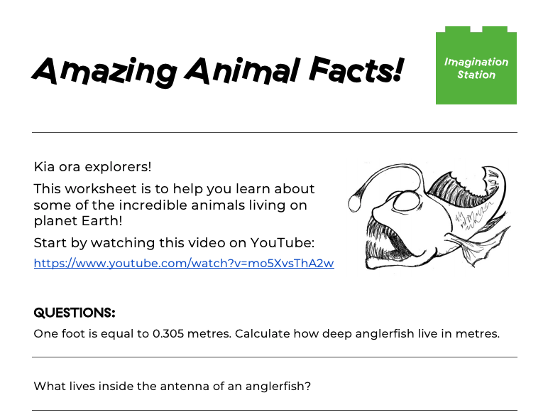 Amazing Animal Facts! at Imagination Station