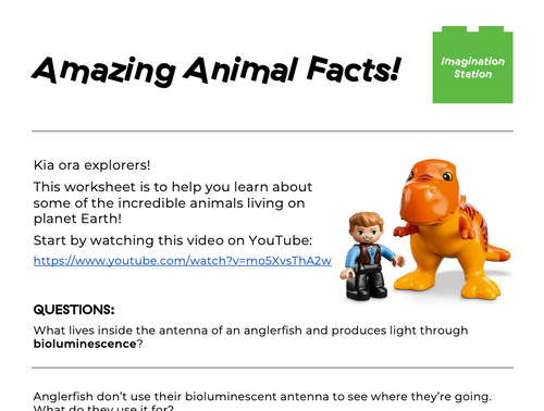 Amazing Animal Facts! (Junior version) at Imagination Station